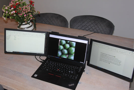 Hvad er en dual screen? - ScreenBooster.dk